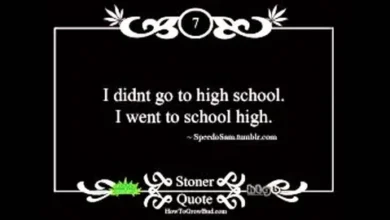 Stoner Quotes